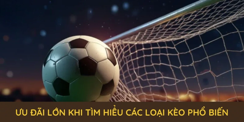 Nhiều loại kèo cược hấp dẫn trong sảnh thể thao QQ88